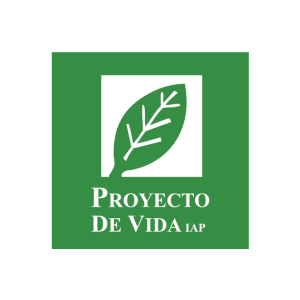 Proyecto de vida