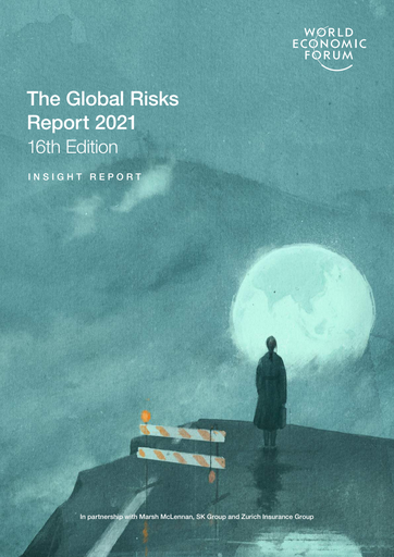 The global risks report 2021